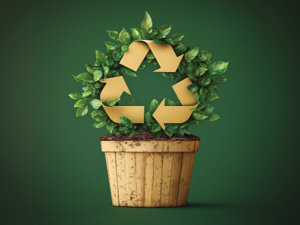 Eco friendly packaging